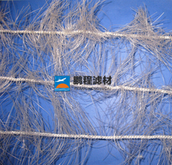 �~����������